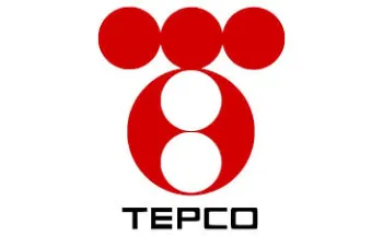 TOKYO ELECTRIC POWER COMPANY HOLDINGS Thumbnail